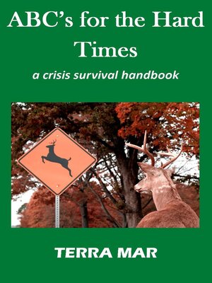 cover image of ABC's for the Hard Times